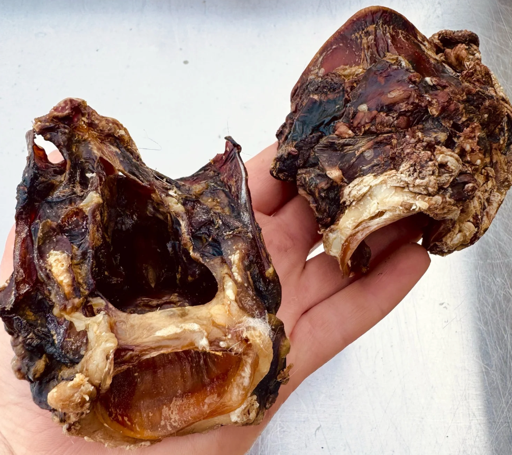 Beef Trachea Glottis