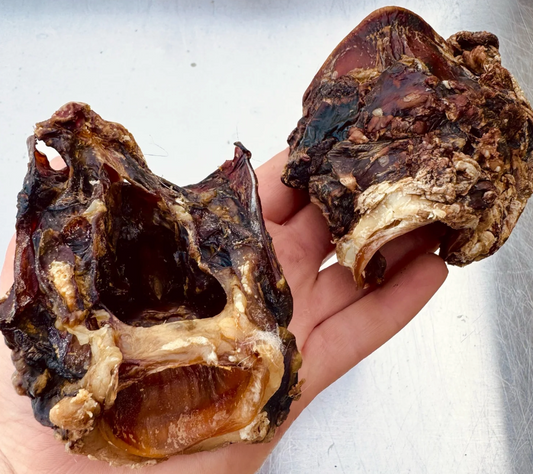 Beef Trachea Glottis