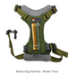 Monty Harness