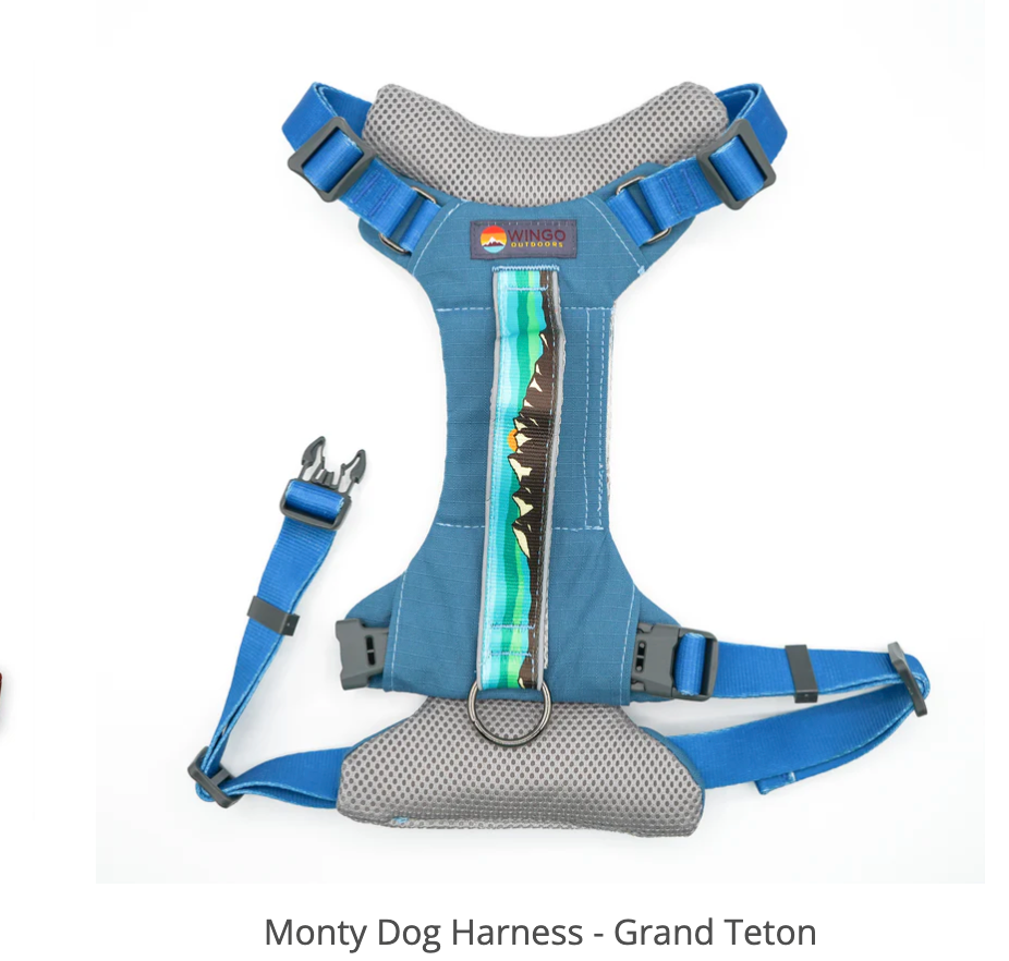 Monty Harness