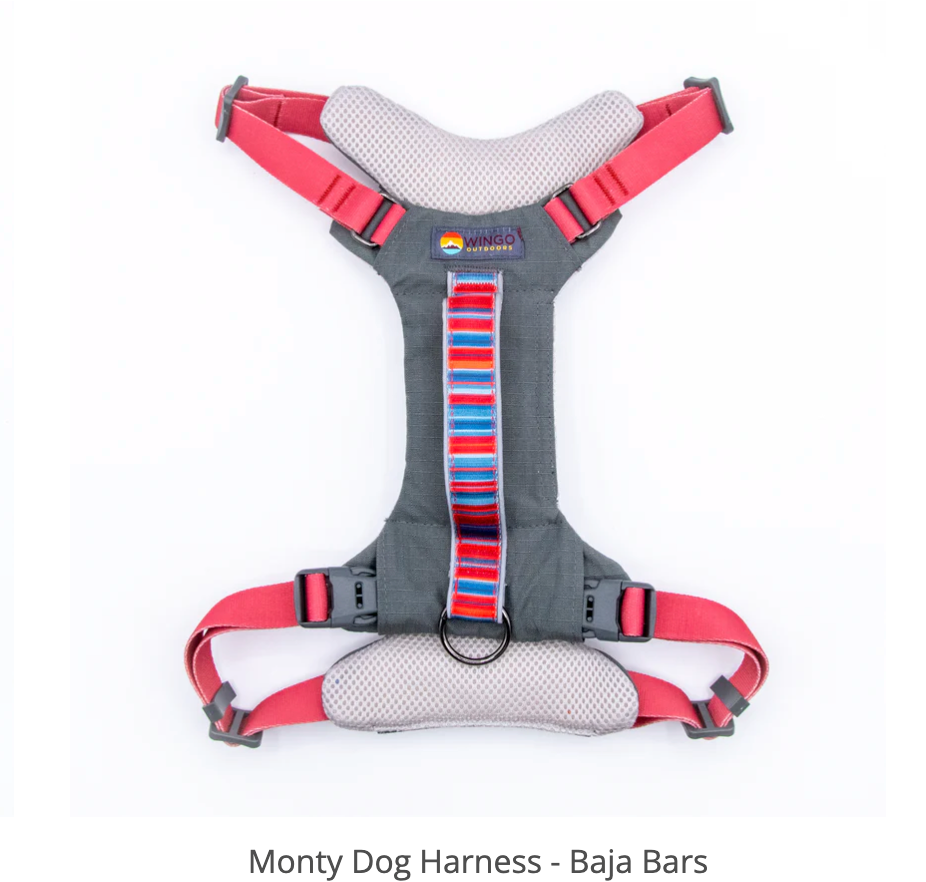 Monty Harness