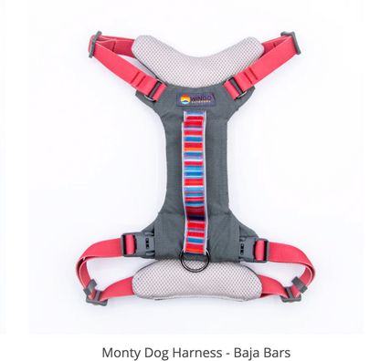 Monty Harness