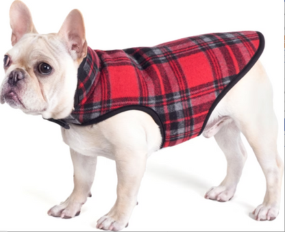 Alpine Jacket