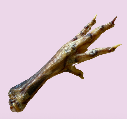 Chicken Foot