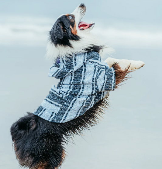 Blue Anchovy Ponchos