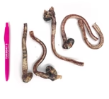Duck Trachea - 2oz Bag