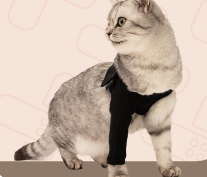 Recovery Front Leg Single Sleeve Cat