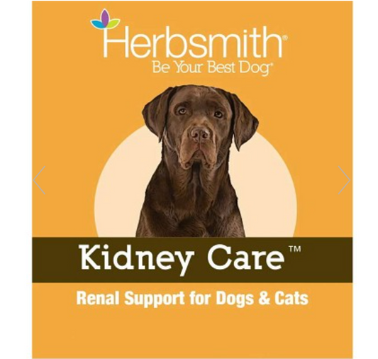 Kidney Care