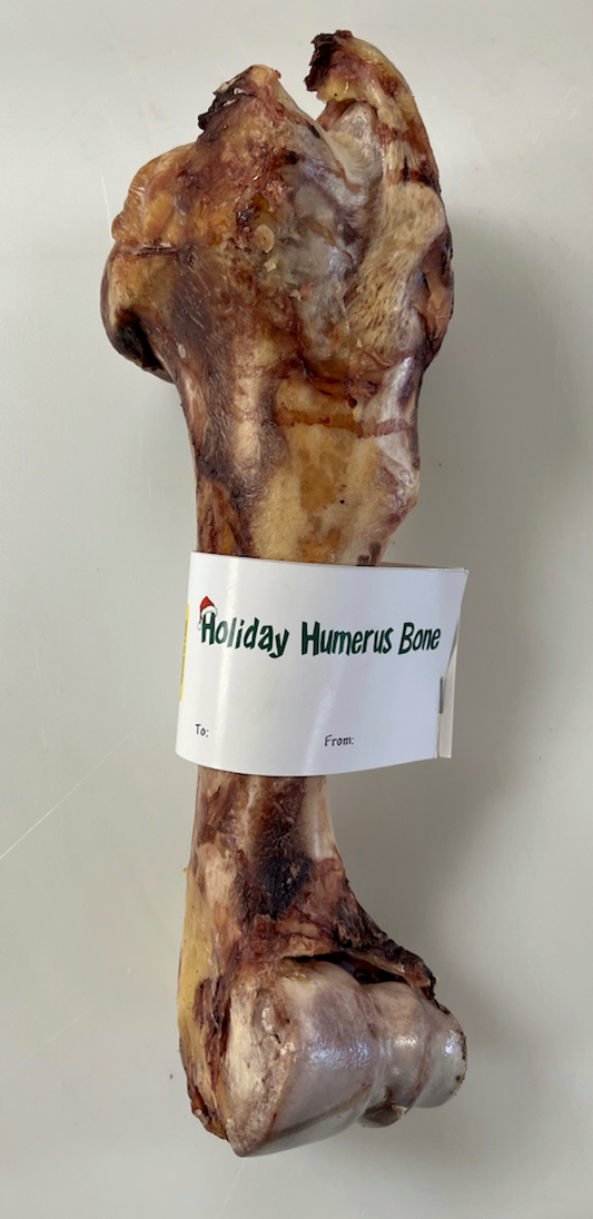 Holiday Humerus Bison Bone - case of 10 *