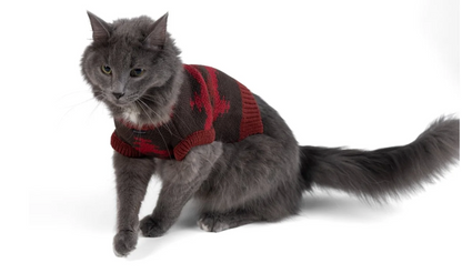 Pendleton Pet Sweater