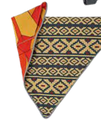 Bernie Bandana