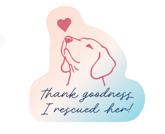 Single Decal (Pack of 8)