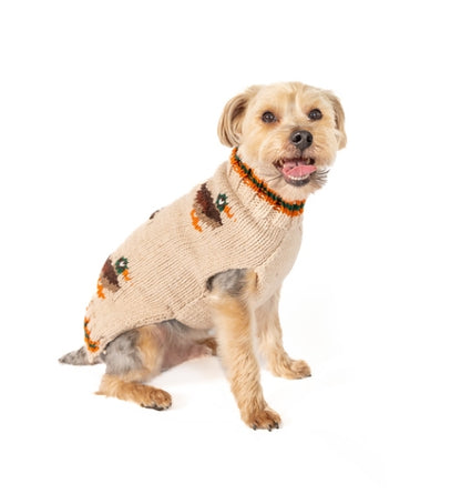 Small dog wearing a cream knitted sweater with duck patterns and an orange and green striped collar