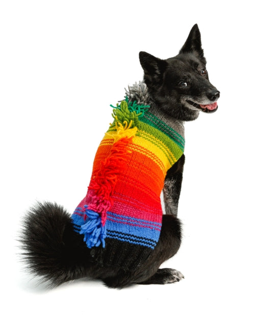 Novelty - Rainbow Mohawk