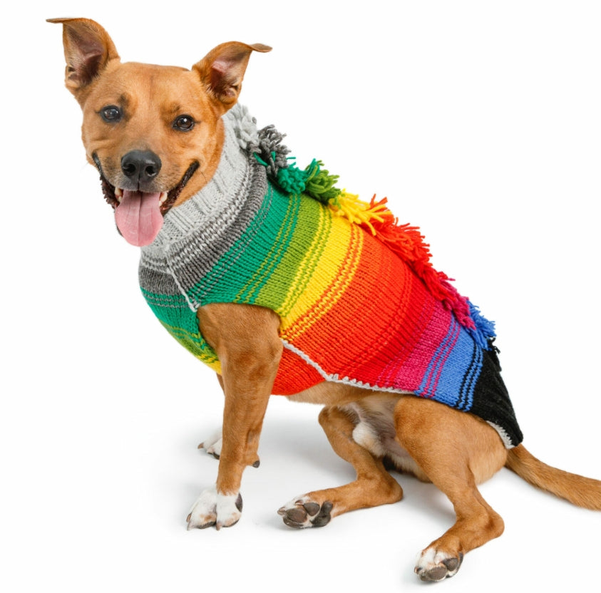 Novelty - Rainbow Mohawk