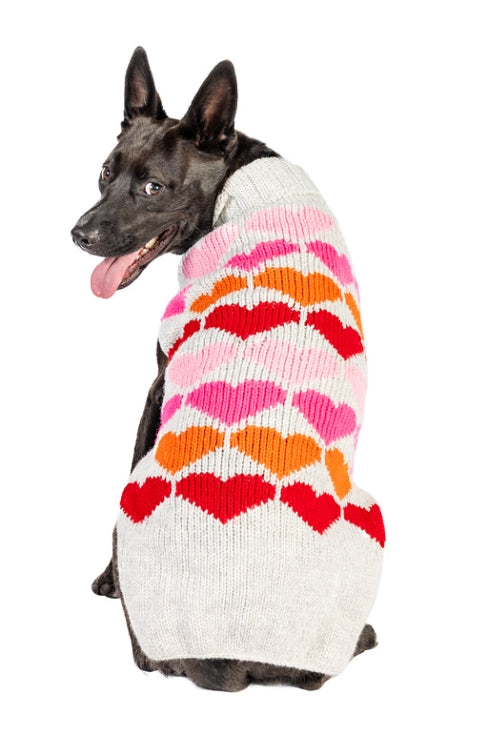 Black dog wearing a white sweater with pink, orange, and red heart patterns