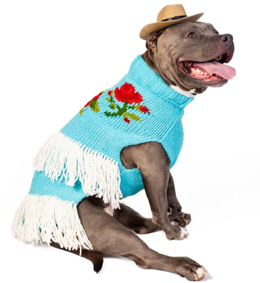 Pitbull wearing a blue knitted dog sweater with red flowers and a small cowboy hat
