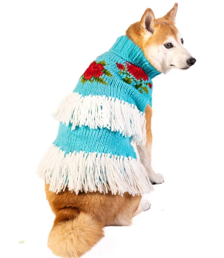 Shiba Inu dog wearing a blue knitted sweater with red roses and white fringe