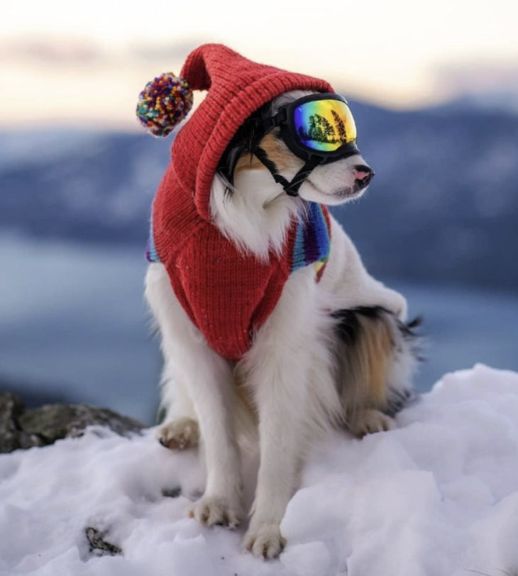 Apres Ski Vintage Ski Hoodie