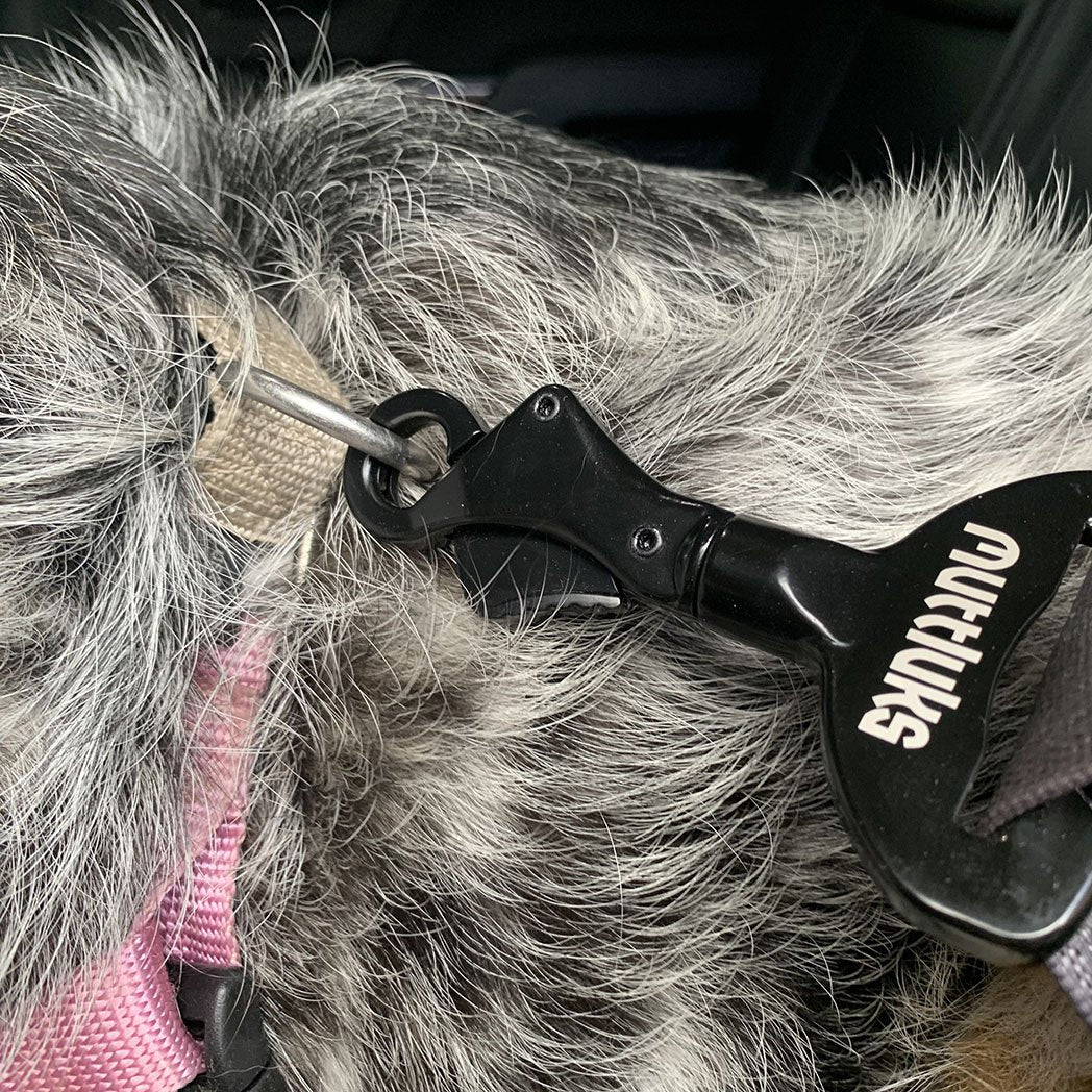 MuTTravel Dog Seat Belt Clip