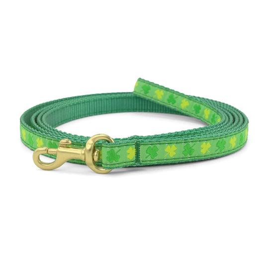 Shamrock Small Breed Dog Lead