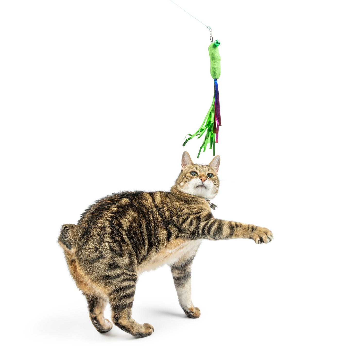 Snacky Teasers 3pk Refill Cat Toy