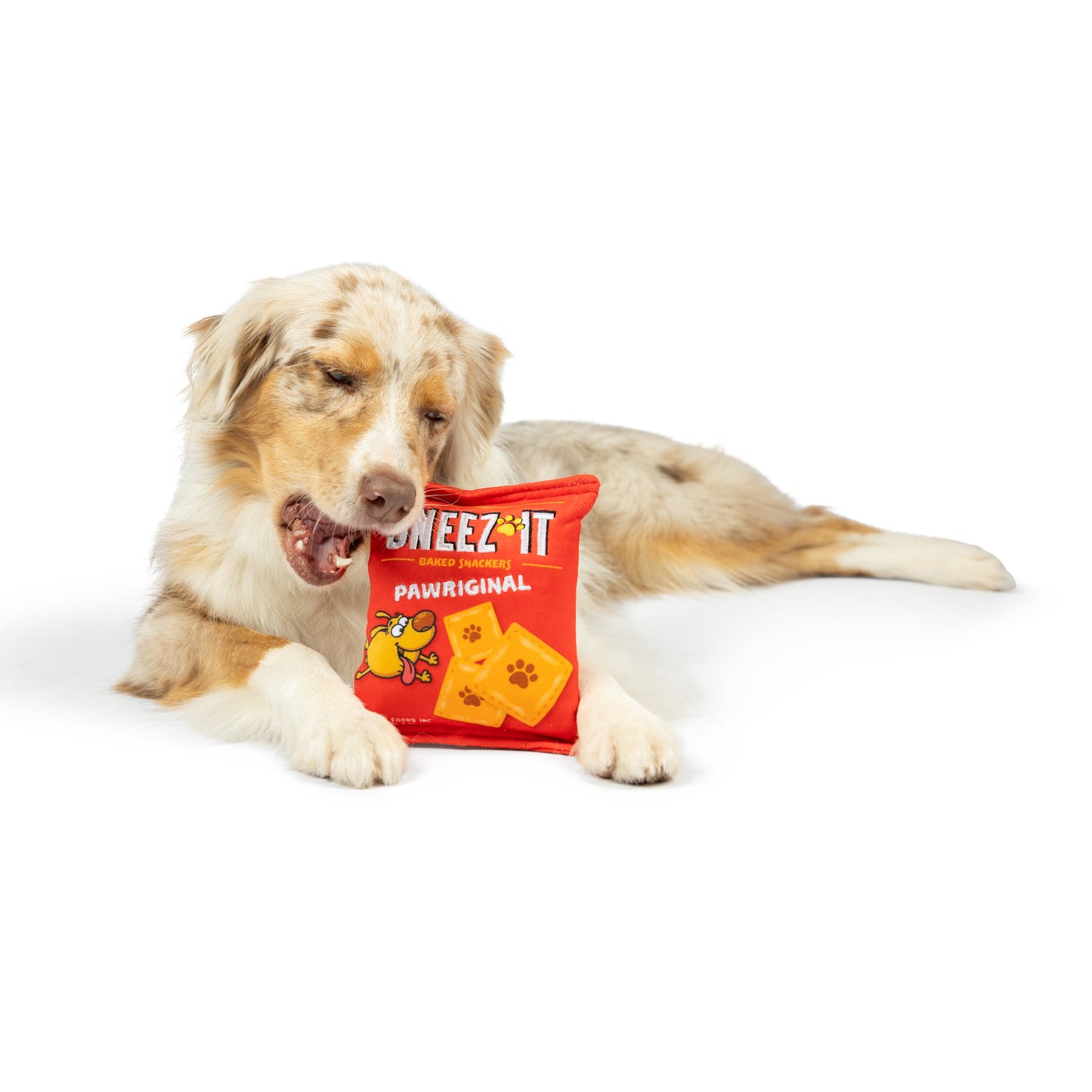 Sneeze-It Dog Toy (Double Sided)
