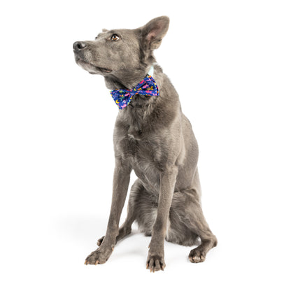 Something Fishy Bow Tie