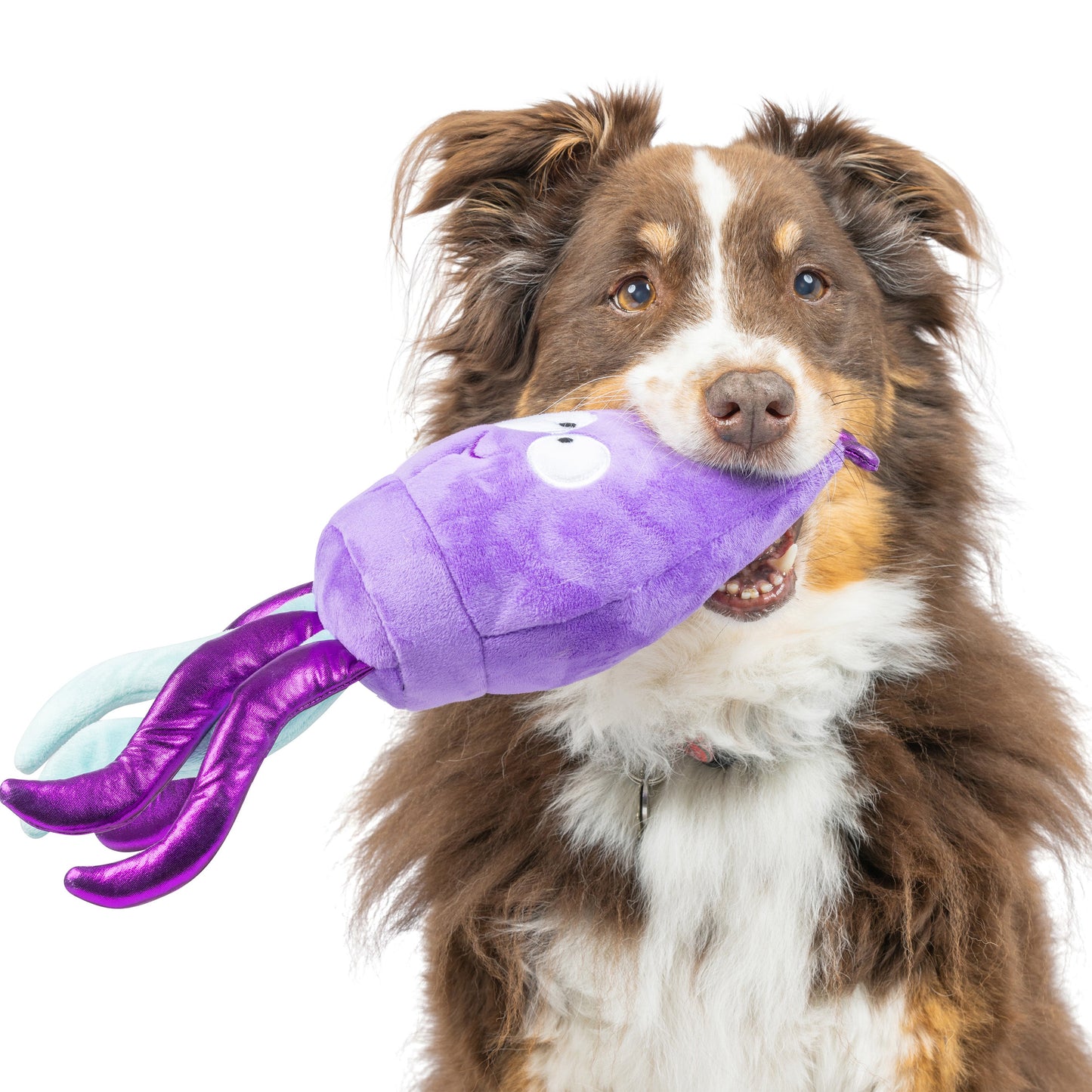 Slappies® Squiggly Squid Dog Toy
