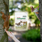 Squirrel Healthy Treat