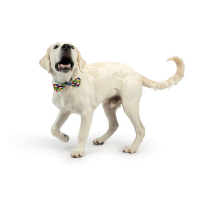 Summertime Check Bow Tie