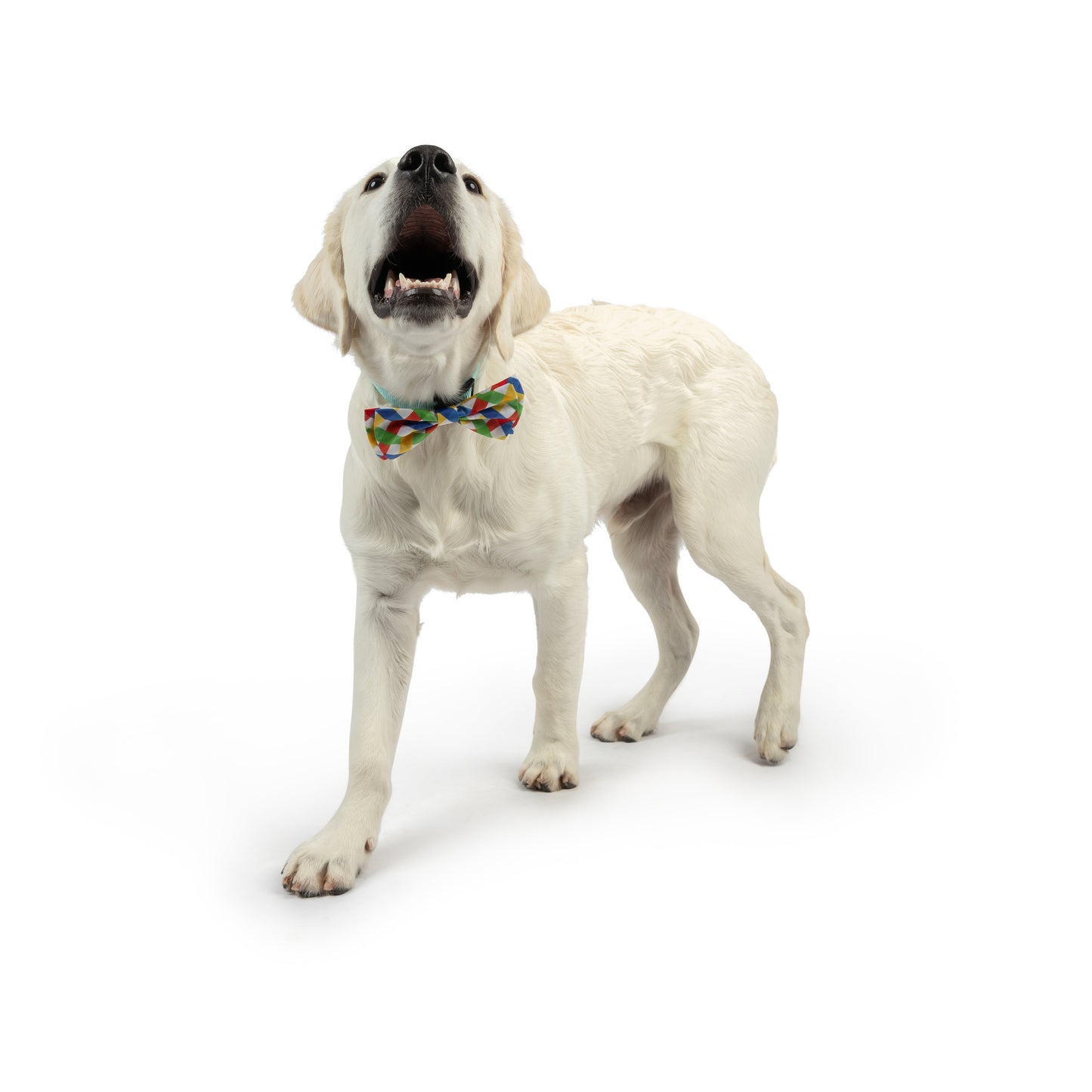 Summertime Check Bow Tie