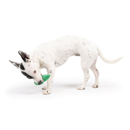 Tiny Tuff Dell Pickle
