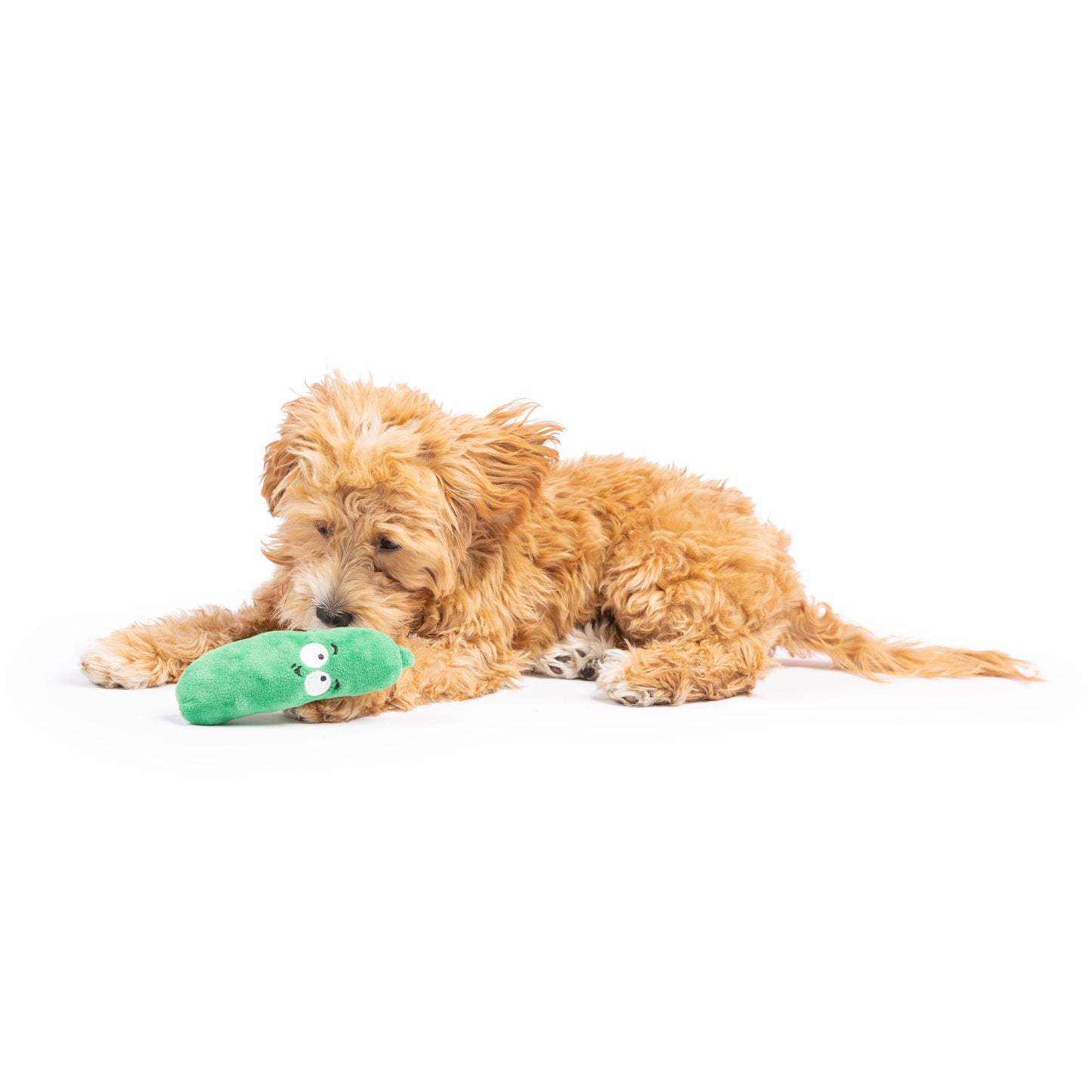 Tiny Tuff Dell Pickle