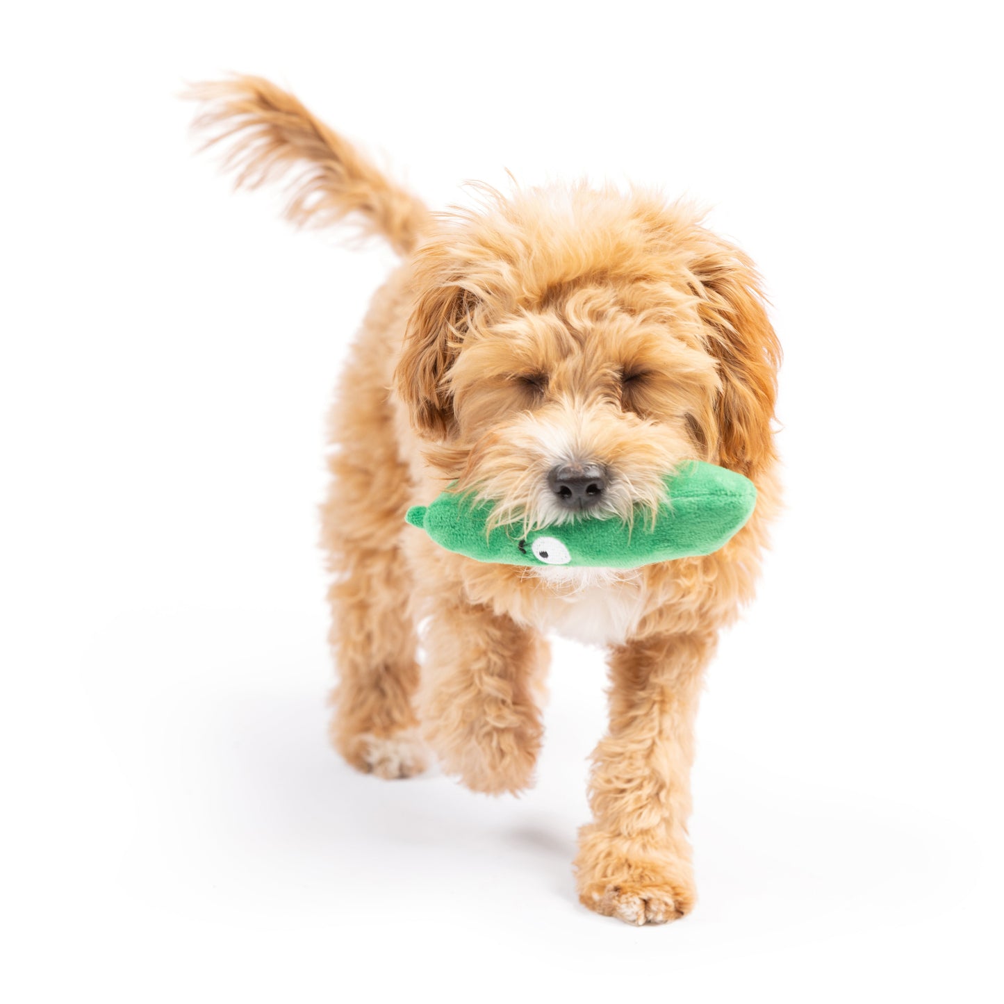 Tiny Tuff Dell Pickle