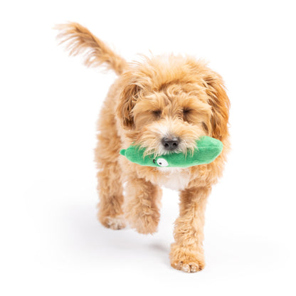 Tiny Tuff Dell Pickle