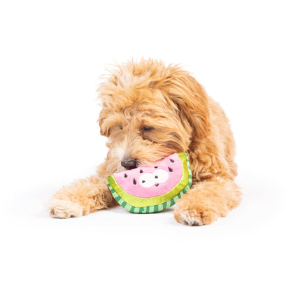 Tiny Tuff Walter Melon