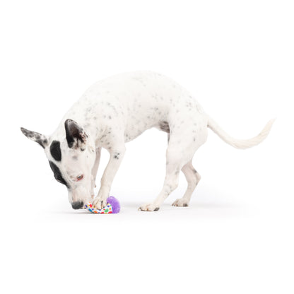 Tiny Tuff Polka Dot Party Hat