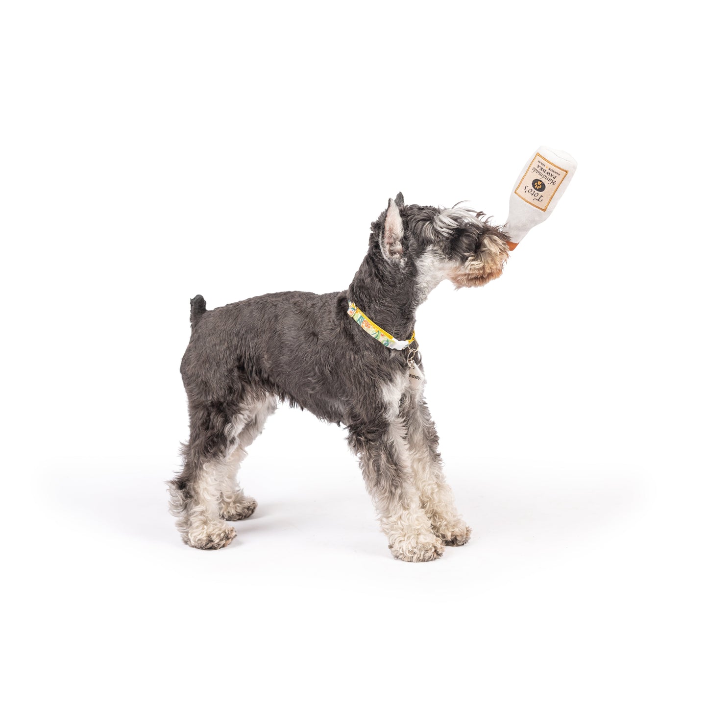 Tiny Tuff Toto's Pawdka