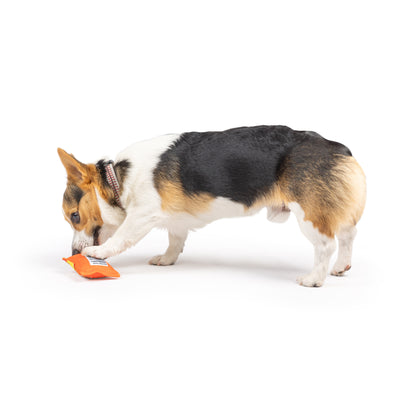 Tiny Tuff Treatos Snacks