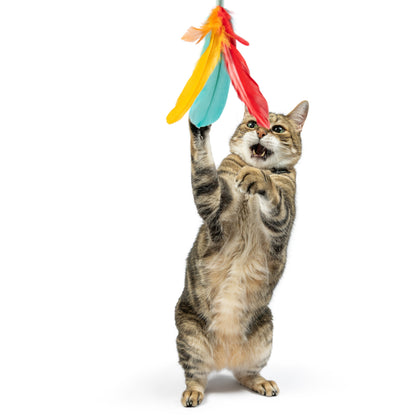 Teaser Treatos Snacks Wand Cat Toy