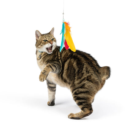 Teaser Treatos Snacks Wand Cat Toy