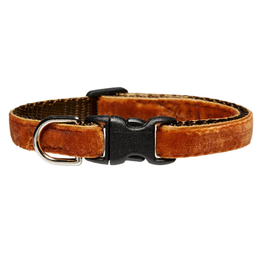 The Work From Home Collar