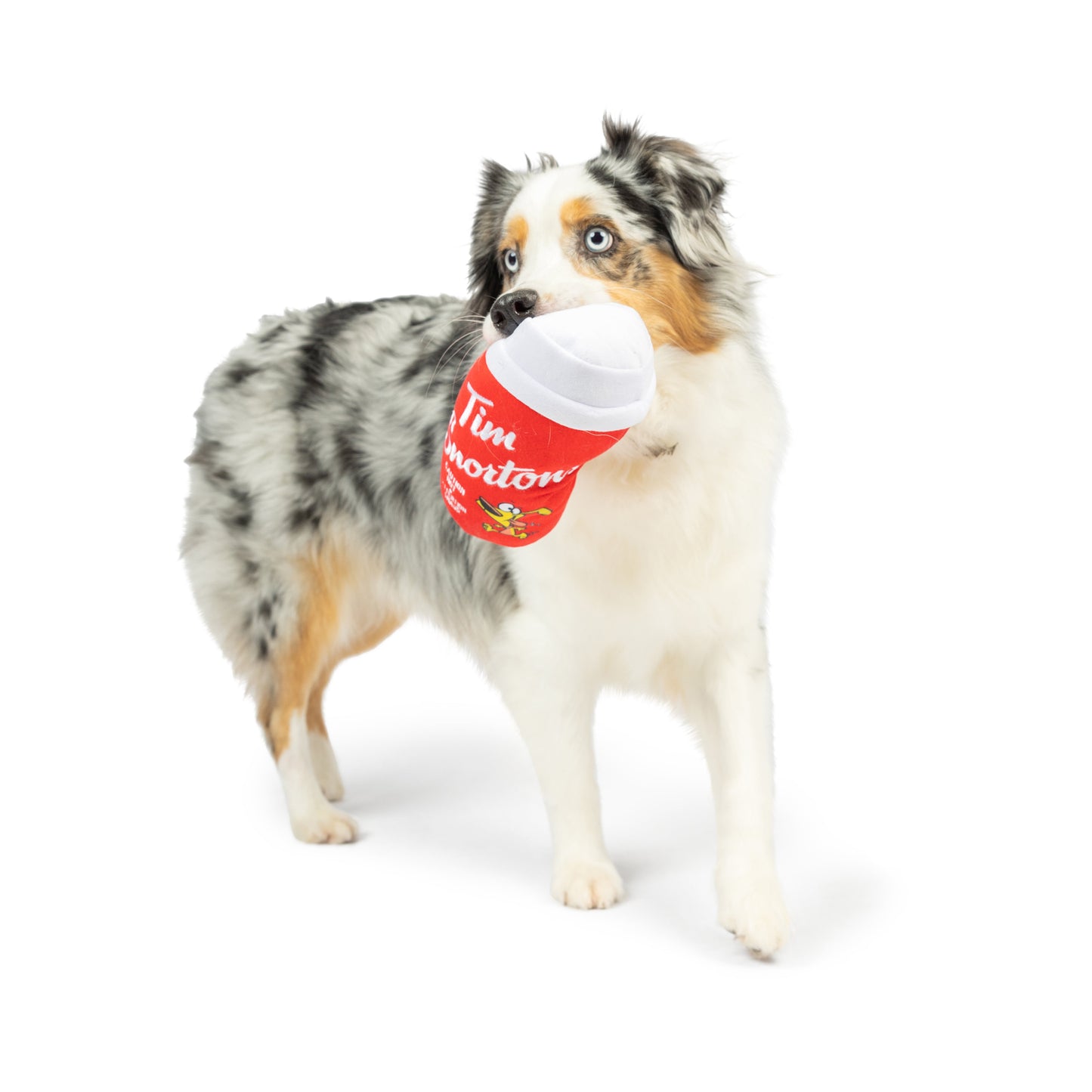 Tim Snortons Coffee Dog Toy