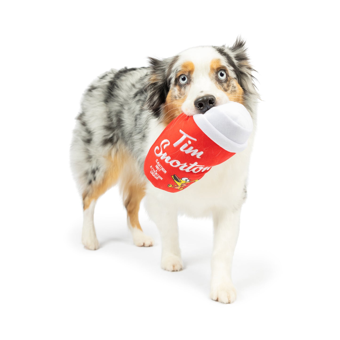 Tim Snortons Coffee Dog Toy