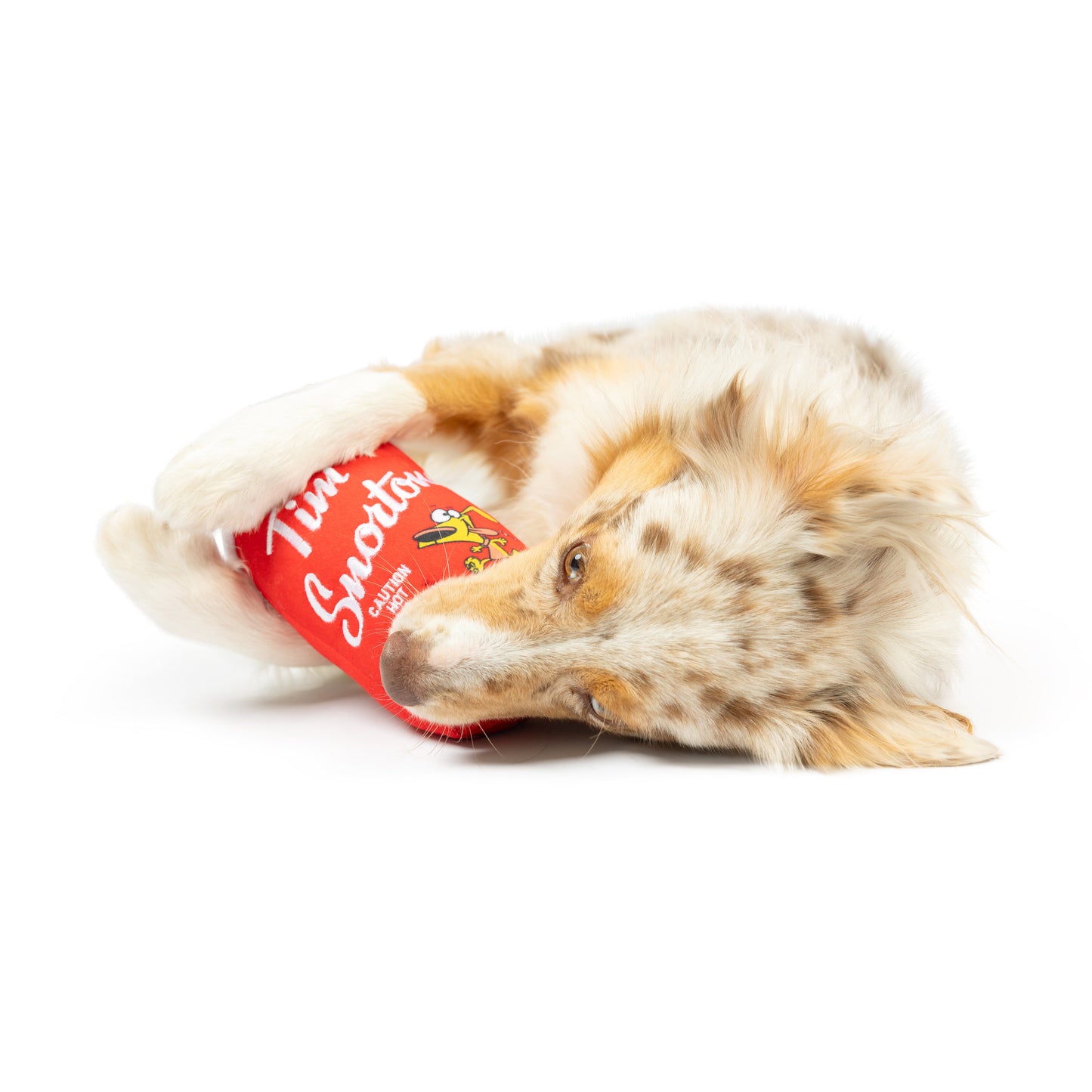 Tim Snortons Coffee Dog Toy