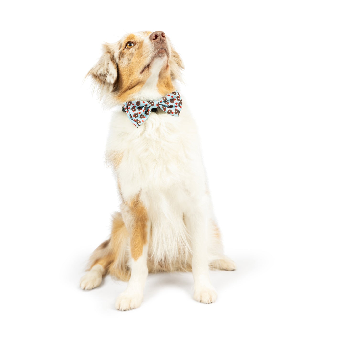 Tossed Beaver With Leaf Bow Tie - 30% Off