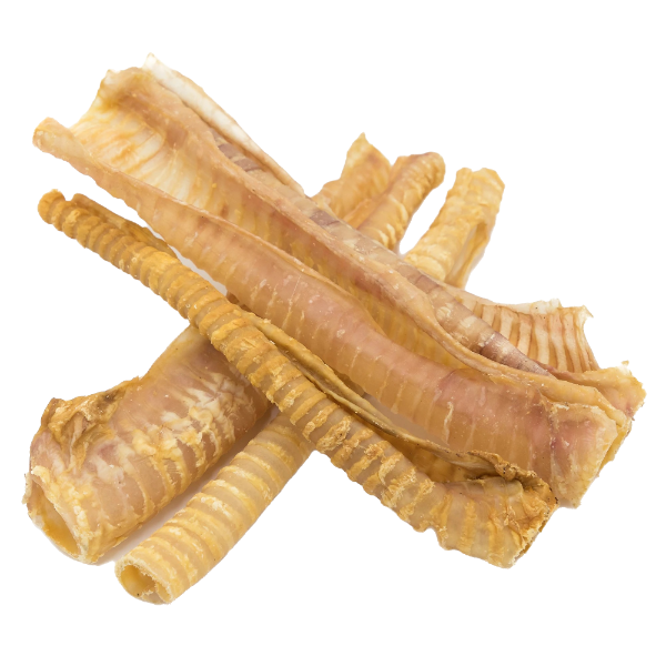 TRACHEA TUBE- PACKS OF 10