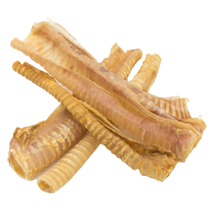 TRACHEA TUBE- PACKS OF 10