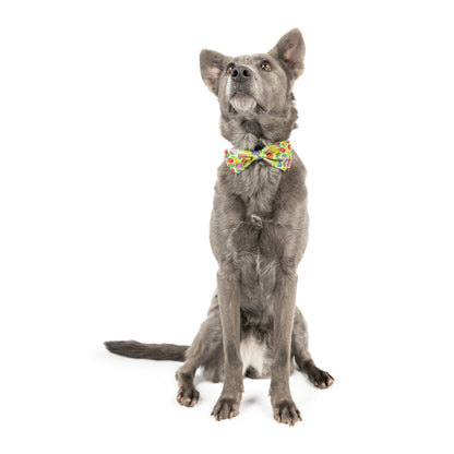 Tutti Fruity Bow Tie
